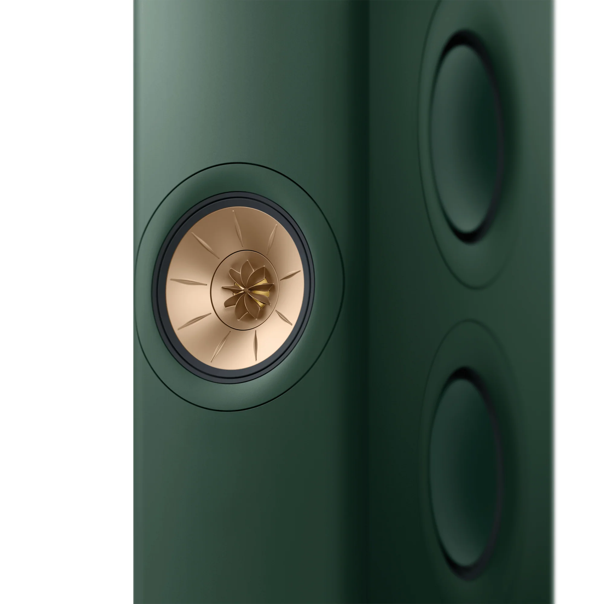 LS60 Wireless Lotus Edition - Image 6