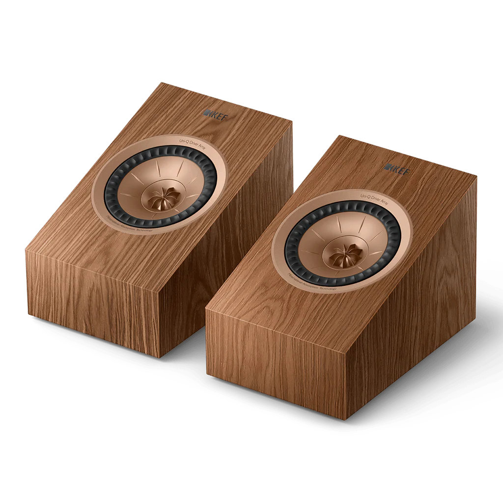 R8 Meta - Image 6